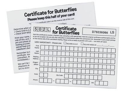 The Butterfly Nursery - US 3554