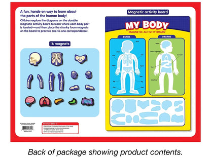 My Body Magnetic Activity Board - US 2895