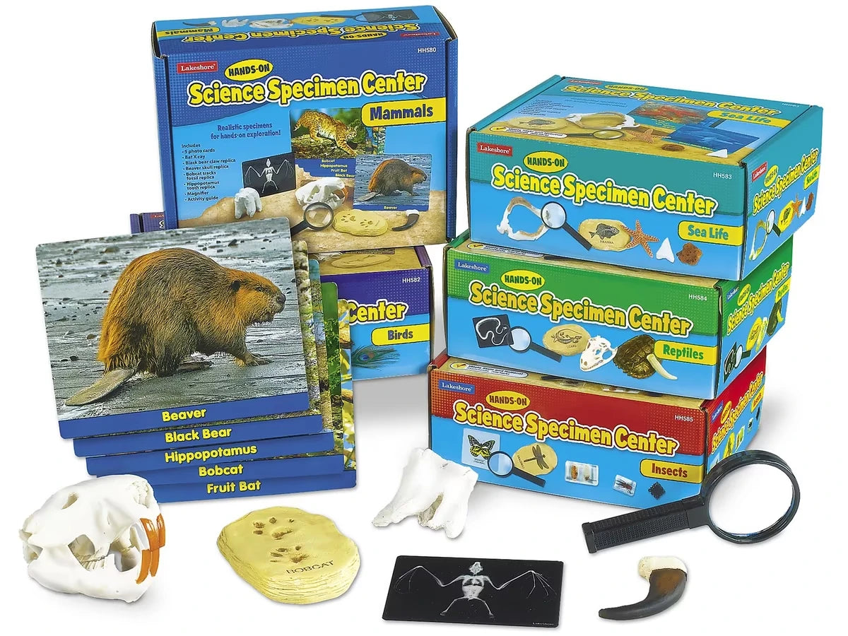 Hands-On Science Specimen Centers - Complete Set - US 9907