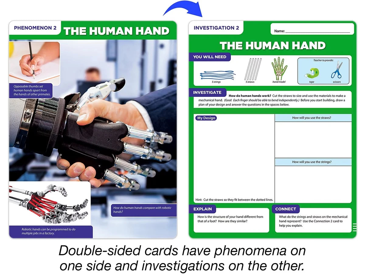 Meet the Standards Human Body Kit - Gr. 4 - US 2953
