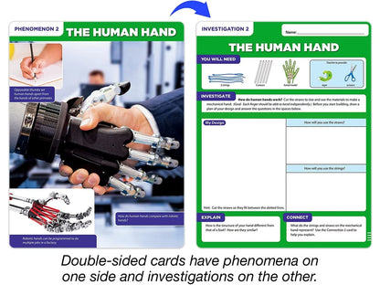 Meet the Standards Human Body Kit - Gr. 4 - US 2953
