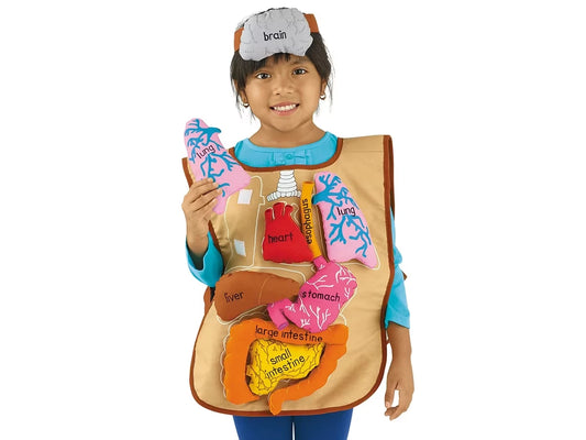 What’s Inside Me? Apron - US 8203