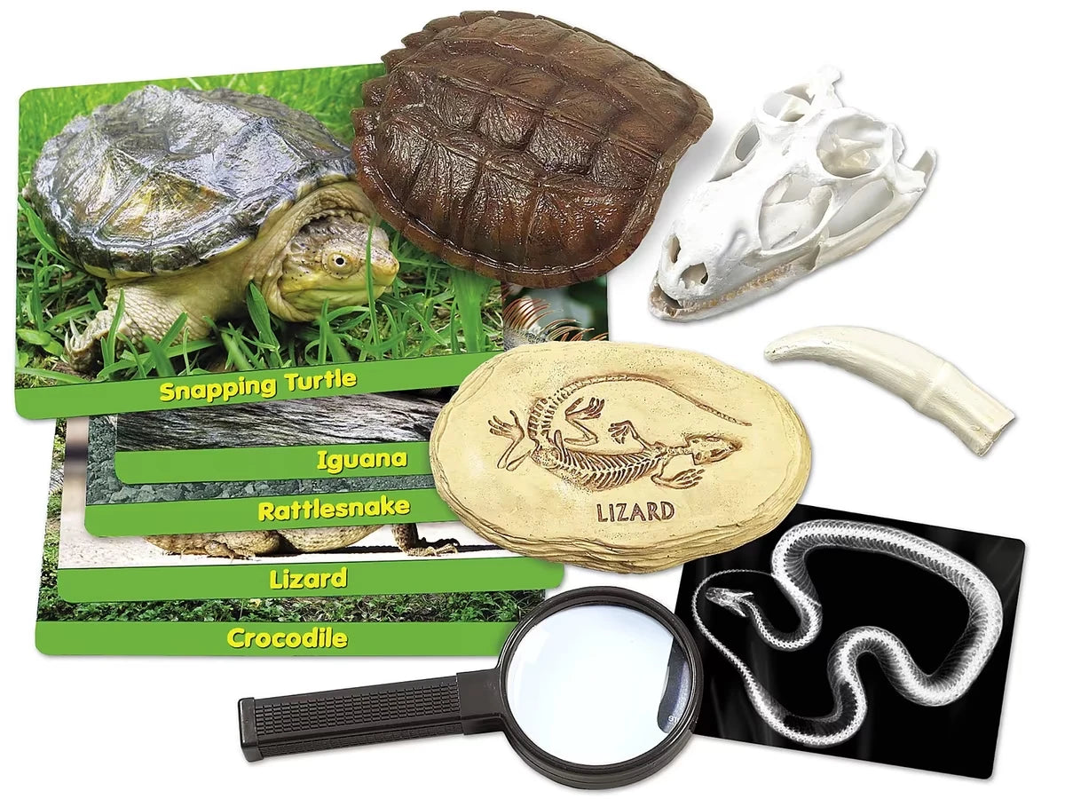 Reptiles Specimen Center - US 1959