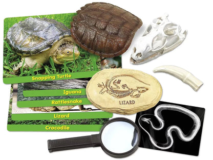 Reptiles Specimen Center - US 1959