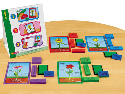 Plants Instant Learning Center - US 6295