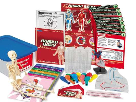 Human Body Activity Tub - Gr. 4-6 - US 5149