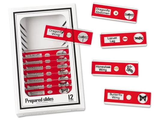 Insects Prepared Slide Kit - US 3671