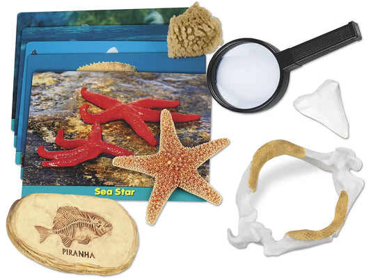 Sea Life Specimen Center - US 7700