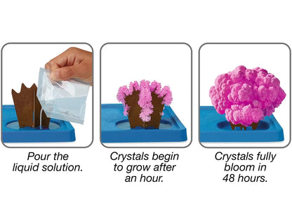 Sea Life Magic Crystal Growing Kit - US 1612