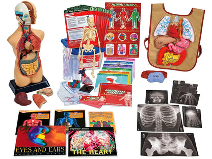 AHA Healthy Hearts & Brains Kit - US 9206