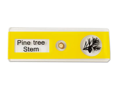 Plants Prepared Slide Kit - US 7564