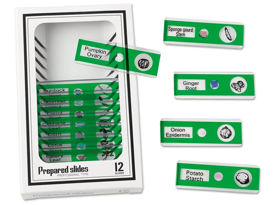 Vegetables Prepared Slide Kit - US 8998
