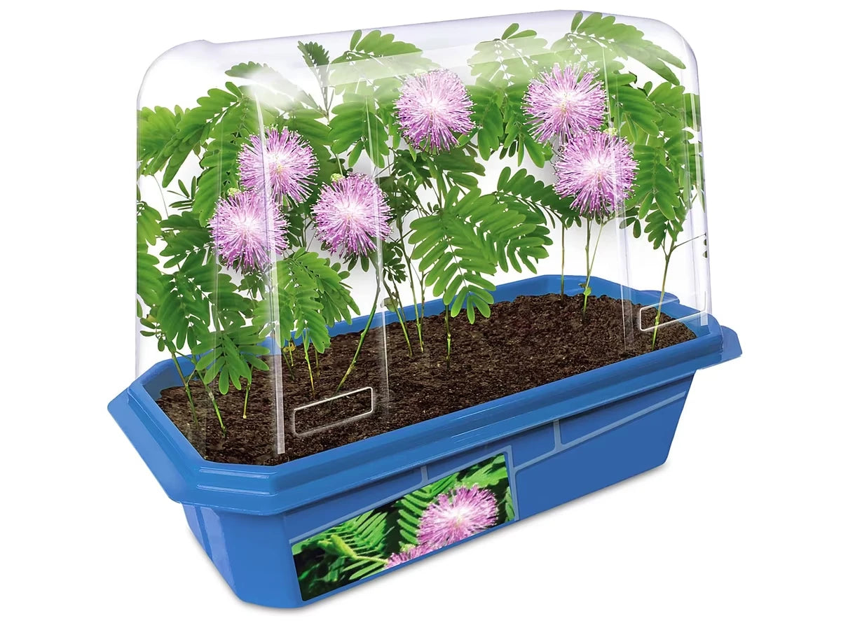 Grow-Your-Own Moving Plant - US 8309