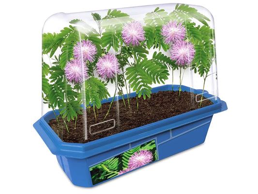 Grow-Your-Own Moving Plant - US 8309