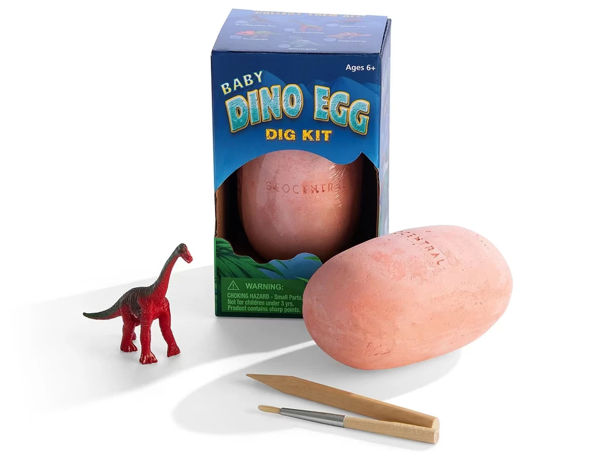 Baby Dino Egg Excavation Kit - US 7827