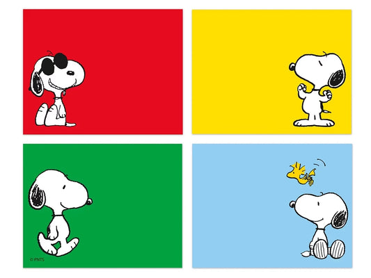 Peanuts® Name Tags - Variety Pack - US 1886