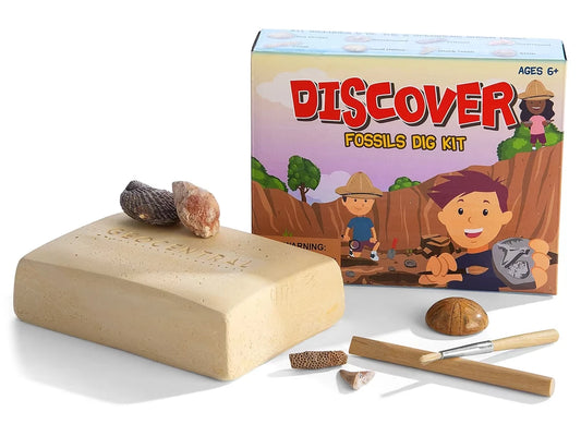 Fossil Excavation Kit - US 4616